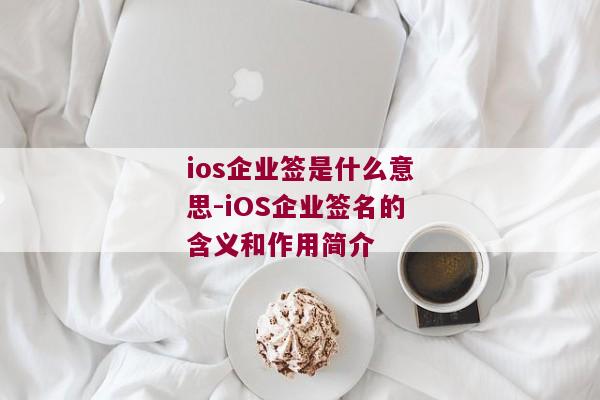 ios企业签是什么意思-iOS企业签名的含义和作用简介