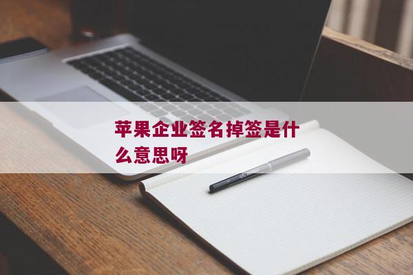 苹果企业签名掉签是什么意思呀